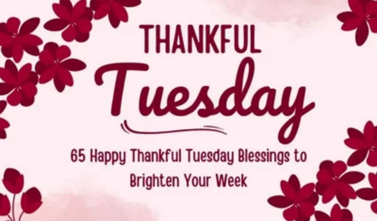 Tuesday Blessings  Tuesday Blessings Powerful Prayers and Messages to Inspire