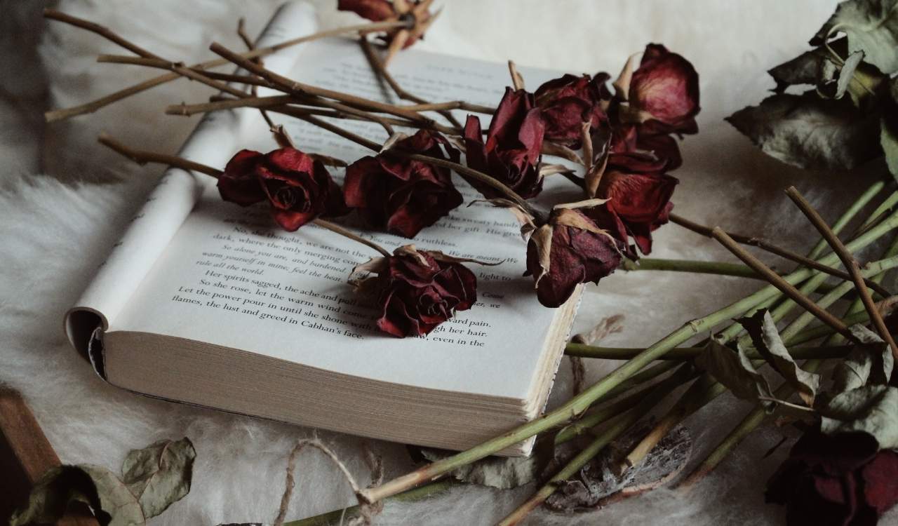 Best Bible Verses About Roses and Their Deep Meaning