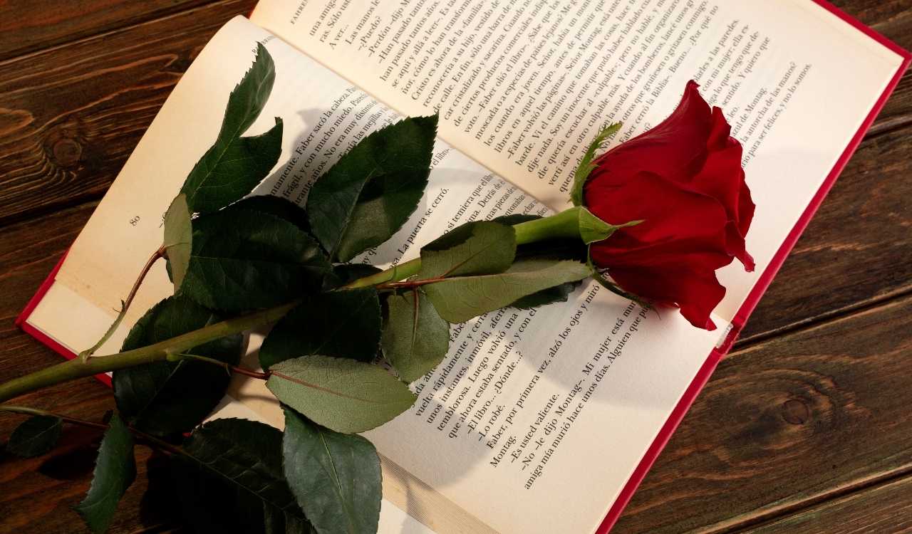 Best Bible Verses About Roses and Their Deep Meaning