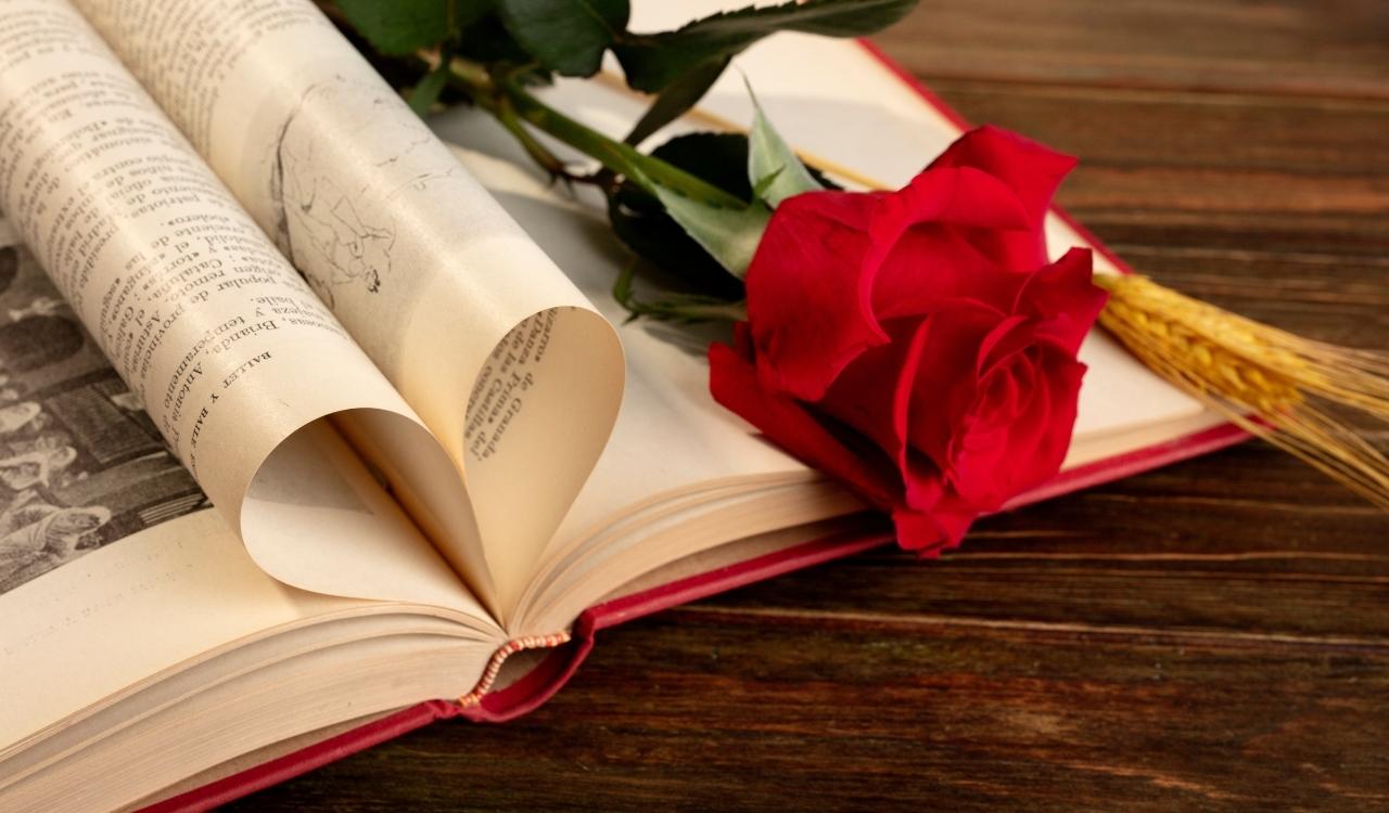 Best Bible Verses About Roses and Their Deep Meaning