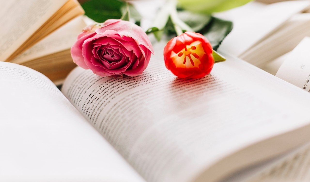 Biblical Meaning of Pink Surprising Truths in Scripture